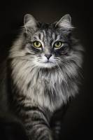 Philippe MURTAS - PHILIPPE MURTAS PHOTOGRAPHE